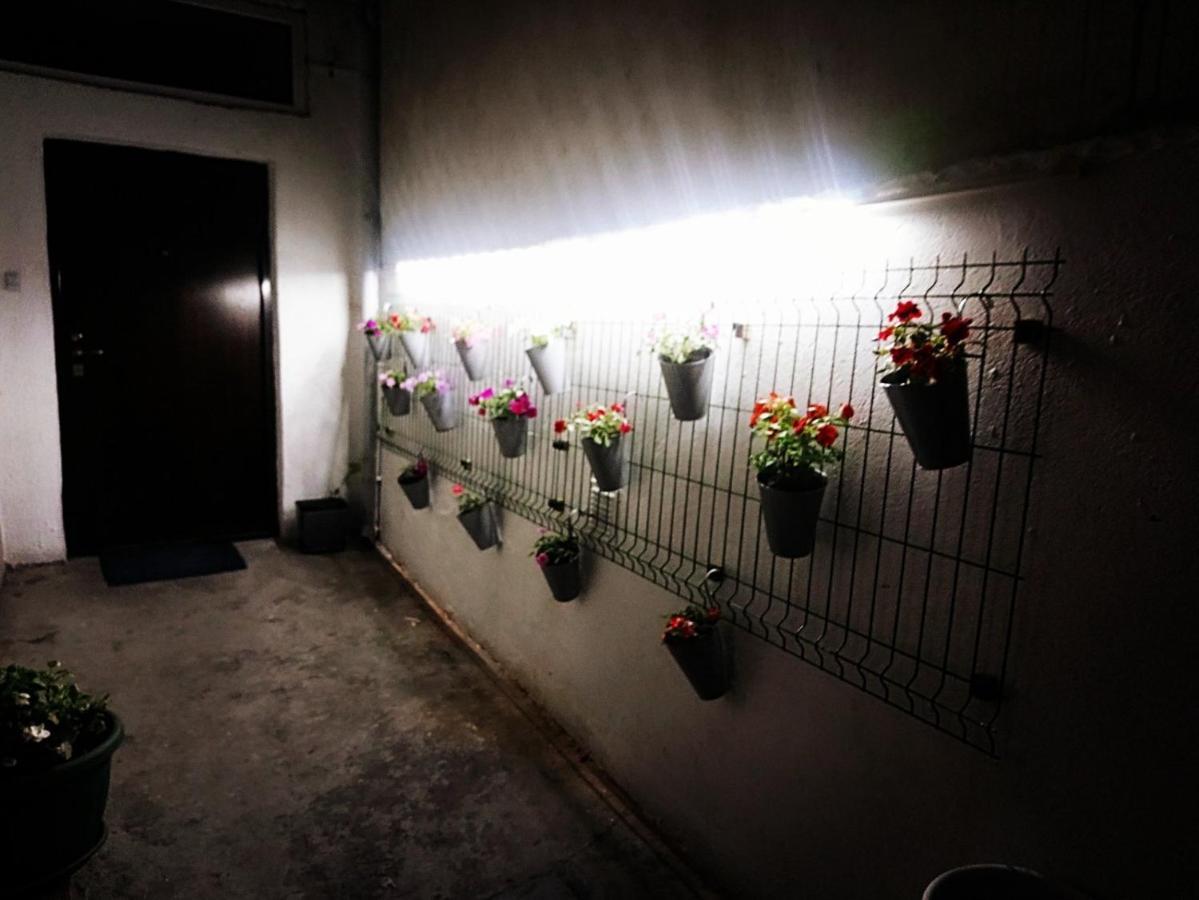 Mia Apartment Βελιγράδι Εξωτερικό φωτογραφία
